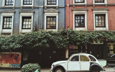 12 Pilihan Tanaman Untuk Menghias Carport Anda