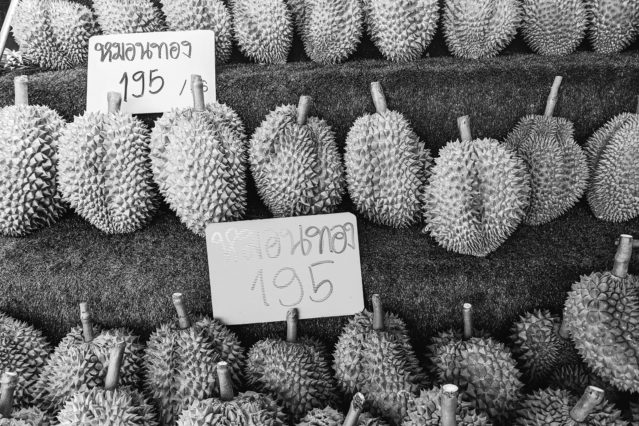 Ketahui harga sebelum bertransaksi. Sumber: pexels.com